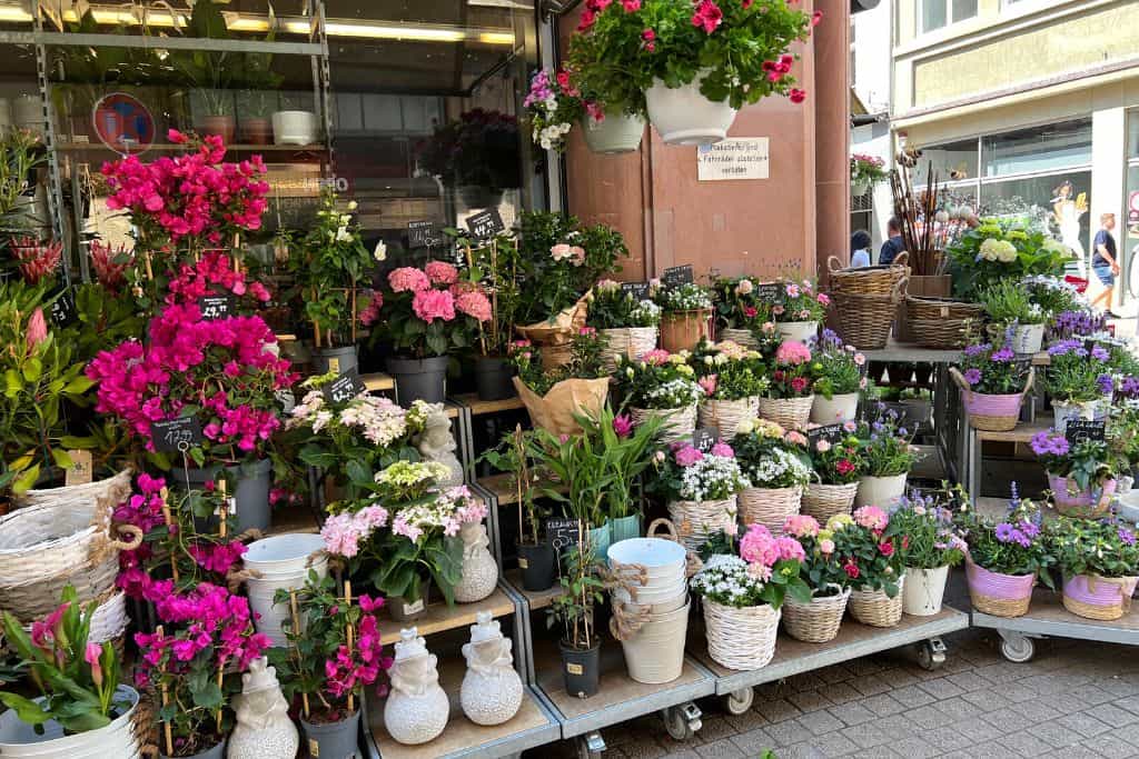 It is worth visiting the many Shops in Heidelberg's Old Town. This is a beautiful flower shop.