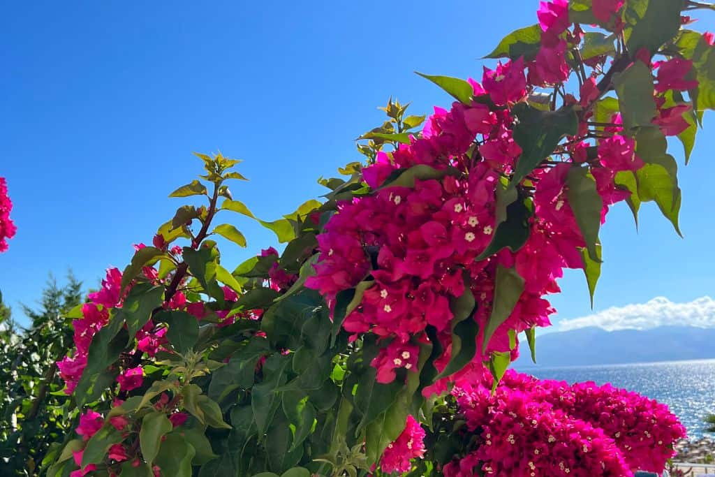 Saranda is beautiful and is covered with stunning scenery and beaches.