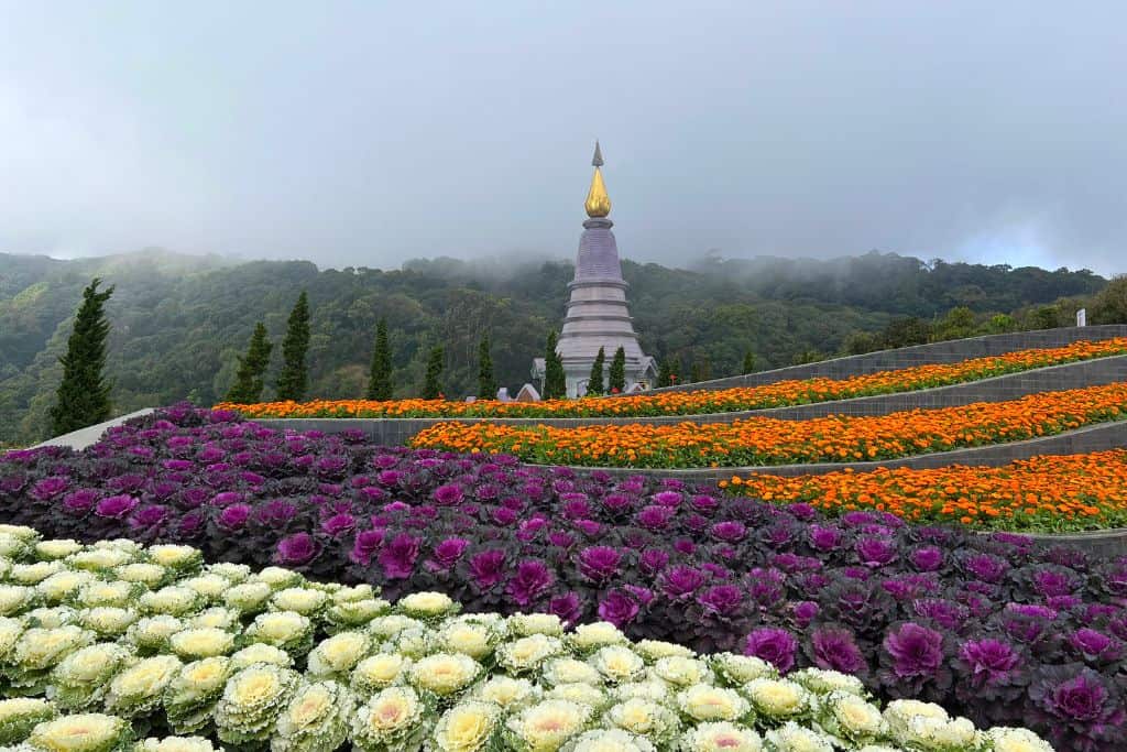 Doi Inthanon is a must-see to appreciate it's beauty and the tallest point in Thailand.