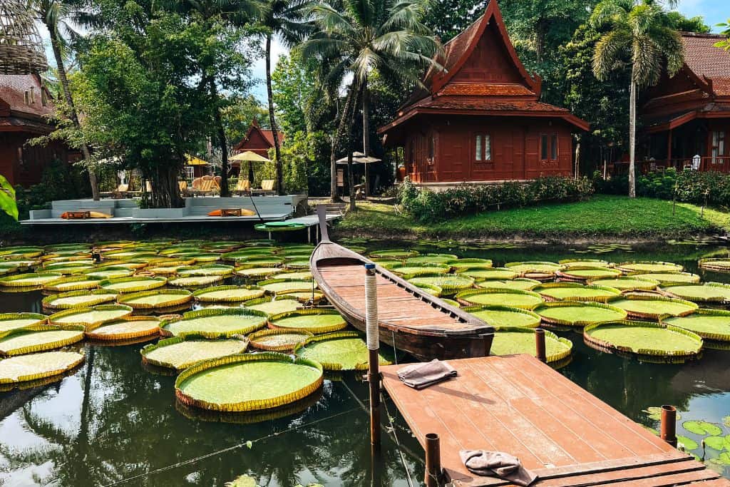 The beautiful lotus pond at Ma Doo Bua Cafe.