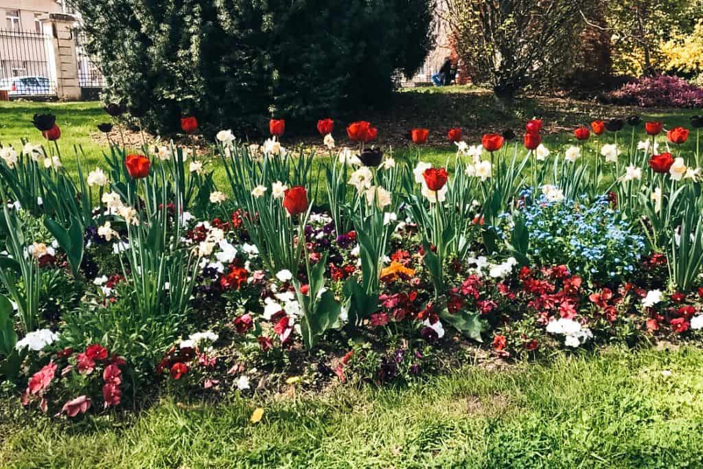 One of the most relaxing things to do in Nancy is visit a park.