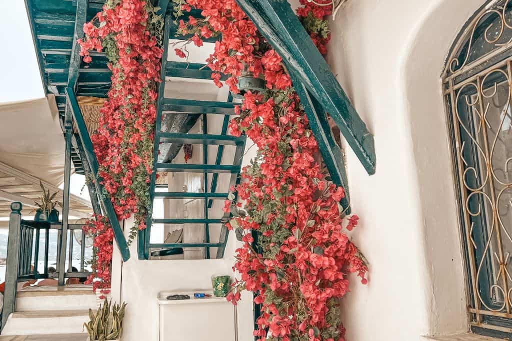 Mykonos Town is full of beautiful bougainvillea